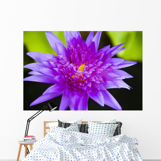 Hawaii Purple Lotus Blossom Wall Decal Design 1
