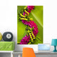 Hawaii Oahu Orchid Lei Wall Decal