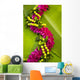 Hawaii Oahu Orchid Lei Wall Decal