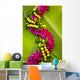 Hawaii Oahu Orchid Lei Wall Decal