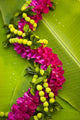 Hawaii Oahu Orchid Lei Wall Decal