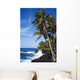 USA Hawaii Scenic Kehena Wall Decal