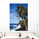 USA Hawaii Scenic Kehena Wall Decal
