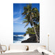 USA Hawaii Scenic Kehena Wall Decal