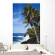 USA Hawaii Scenic Kehena Wall Decal