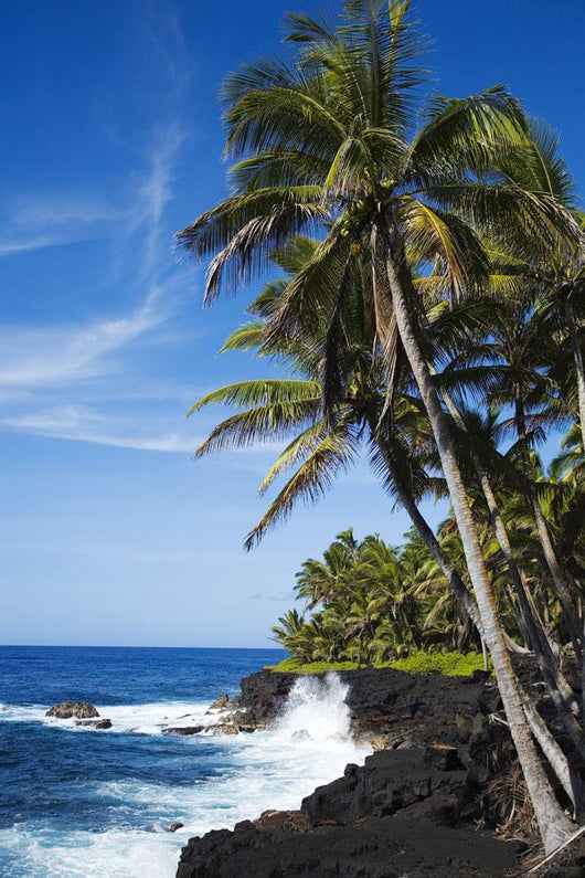 USA Hawaii Scenic Kehena Wall Decal