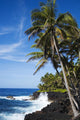 USA Hawaii Scenic Kehena Wall Decal