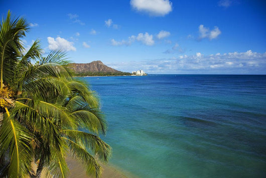 USA Hawaii Honolulu Diamond Wall Decal