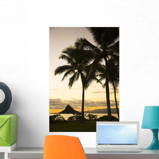 USA Hawaii Silhouette Palm Wall Decal