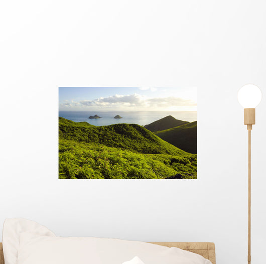 USA Hawaii Mountains and Wall Decal