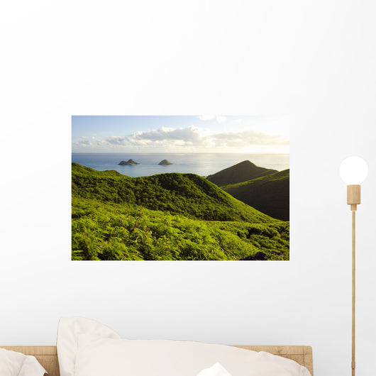 USA Hawaii Mountains and Wall Decal