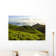 USA Hawaii Mountains and Wall Decal