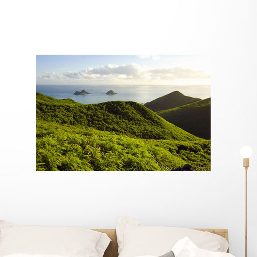 USA Hawaii Mountains and Wall Decal