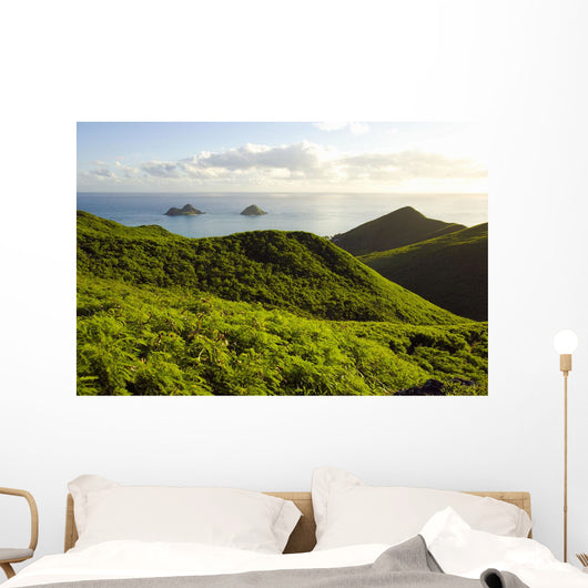 USA Hawaii Mountains and Wall Decal