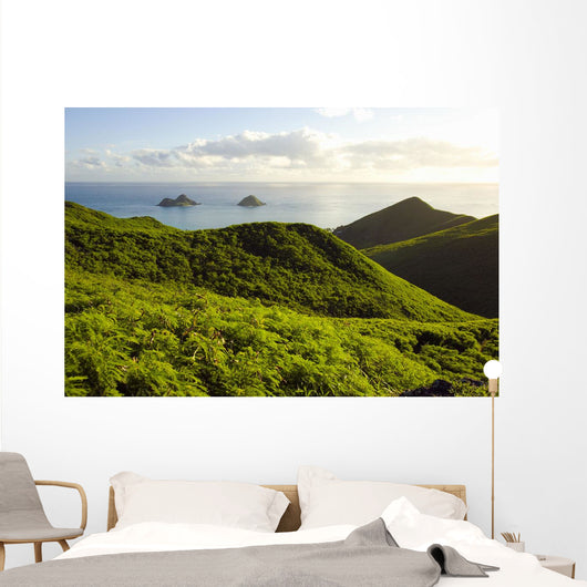 USA Hawaii Mountains and Wall Decal