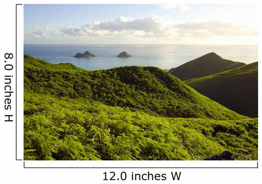 USA Hawaii Mountains and Wall Decal