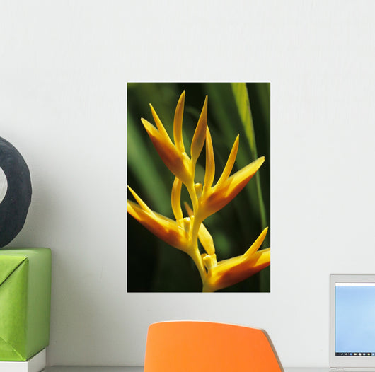Hawaii Maui Orange Heliconia Wall Decal