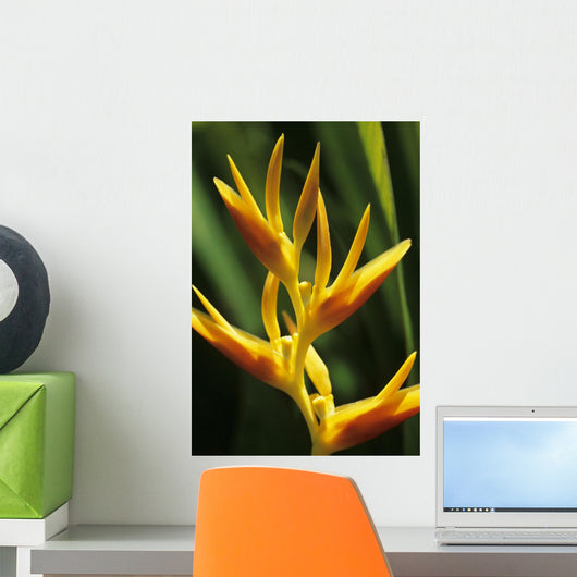 Hawaii Maui Orange Heliconia Wall Decal