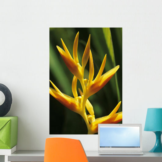 Hawaii Maui Orange Heliconia Wall Decal