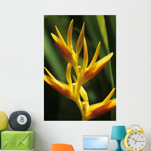 Hawaii Maui Orange Heliconia Wall Decal