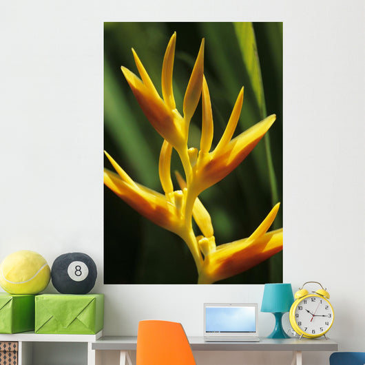 Hawaii Maui Orange Heliconia Wall Decal