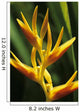 Hawaii Maui Orange Heliconia Wall Decal