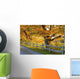 Trees Autumn Colors and Wall Decal