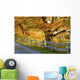 Trees Autumn Colors and Wall Decal