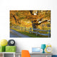Trees Autumn Colors and Wall Decal