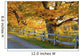 Trees Autumn Colors and Wall Decal