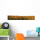 Panorama Trees along Water's Wall Decal
