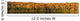 Panorama Trees along Water's Wall Decal