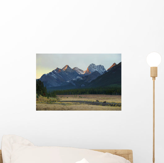 Moose Grazing Sunset with Wall Decal