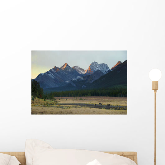 Moose Grazing Sunset with Wall Decal