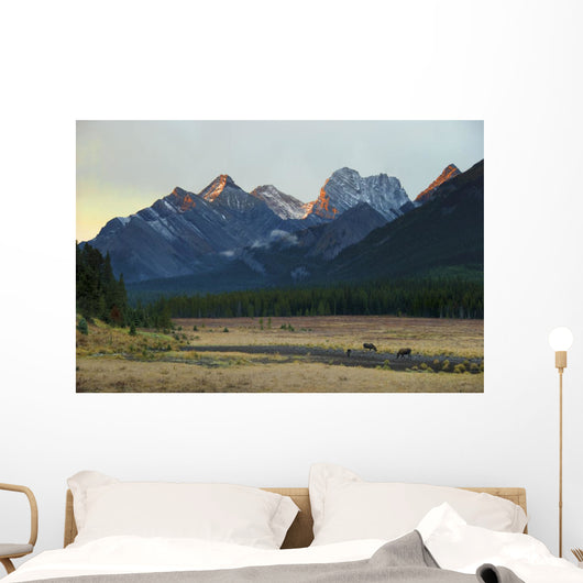 Moose Grazing Sunset with Wall Decal