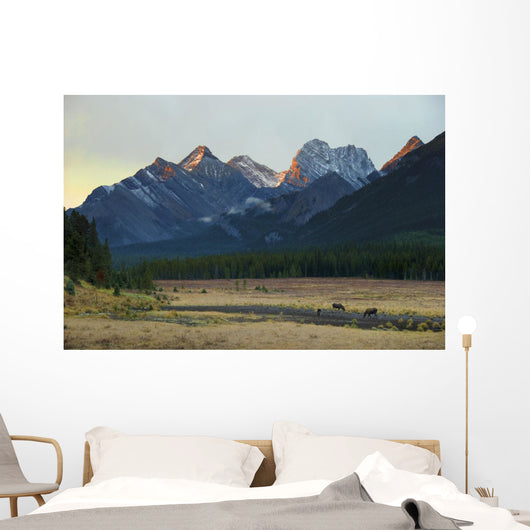 Moose Grazing Sunset with Wall Decal