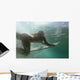 Woman Surfboard under Water Wall Decal Design 2
