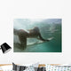 Woman Surfboard under Water Wall Decal Design 2