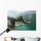 Woman Surfboard under Water Wall Decal Design 2