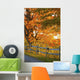 Maple Trees and Rail Wall Decal