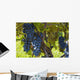 Grapes Vine Wall Decal Design 2
