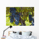 Grapes Vine Wall Decal Design 2