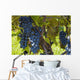 Grapes Vine Wall Decal Design 2