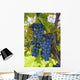 Grapes Vine Wall Decal Design 1