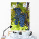 Grapes Vine Wall Decal Design 1