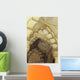Several Scalloped Archways Wall Decal