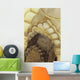 Several Scalloped Archways Wall Decal