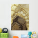 Several Scalloped Archways Wall Decal