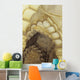 Several Scalloped Archways Wall Decal