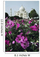 India Flowers Foreground Taj Wall Decal